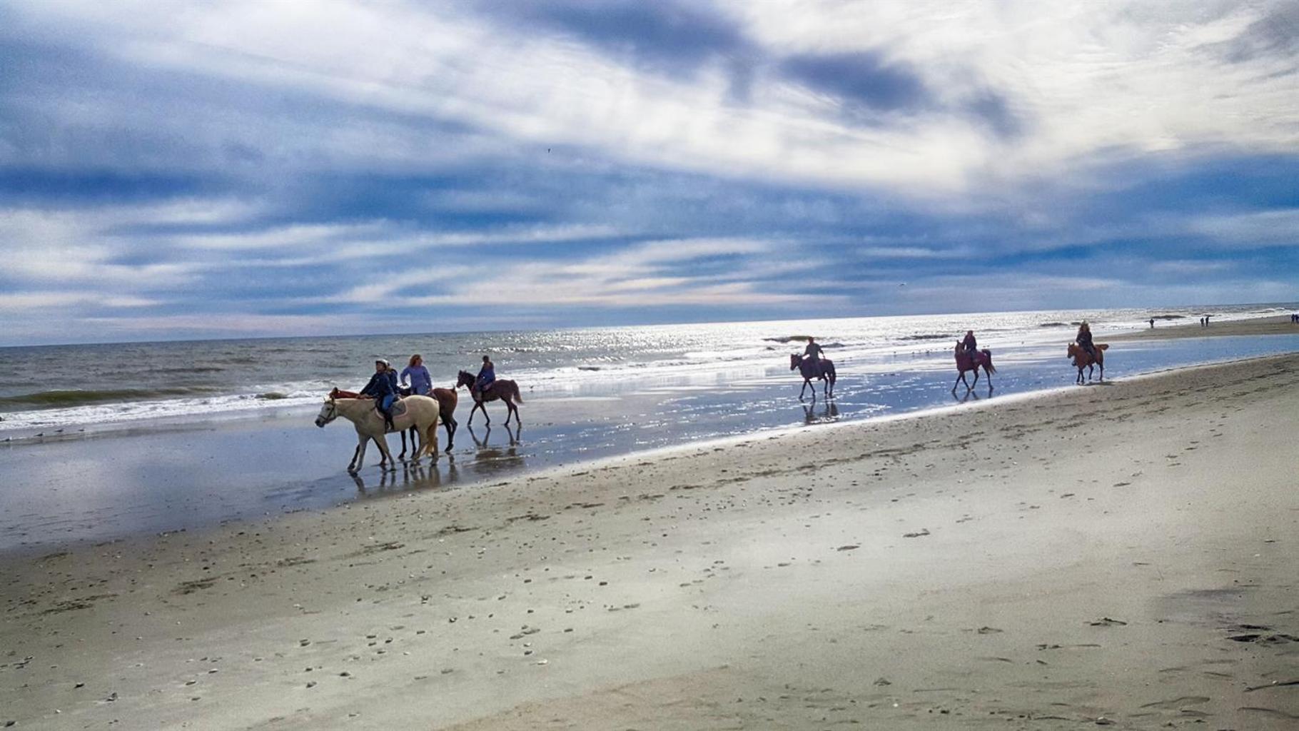 Romantic Oceanfront View, Discounted, Pools マートルビーチ エクステリア 写真